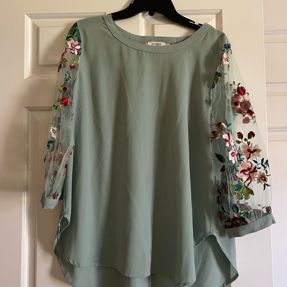 Umgee Tops - Seafoam green shirt with shear embroidered sleeves -medium